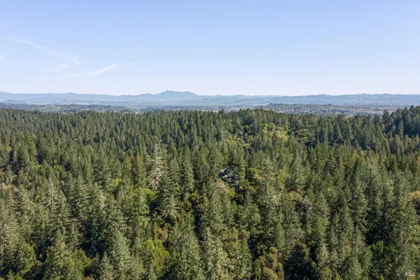 $1,400,000 | 8930 Highway 116, Forestville, CA 95436