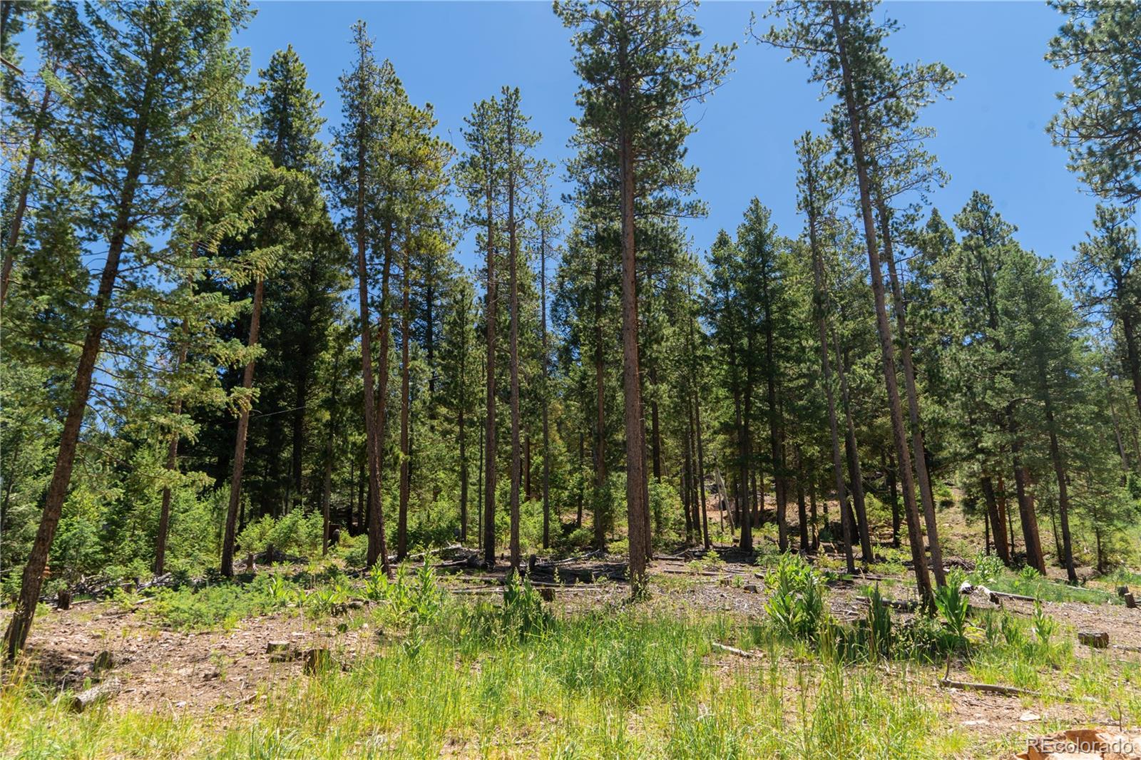 6814 Lynx Lair Road Evergreen, CO 80439 - Photo 16 of 19