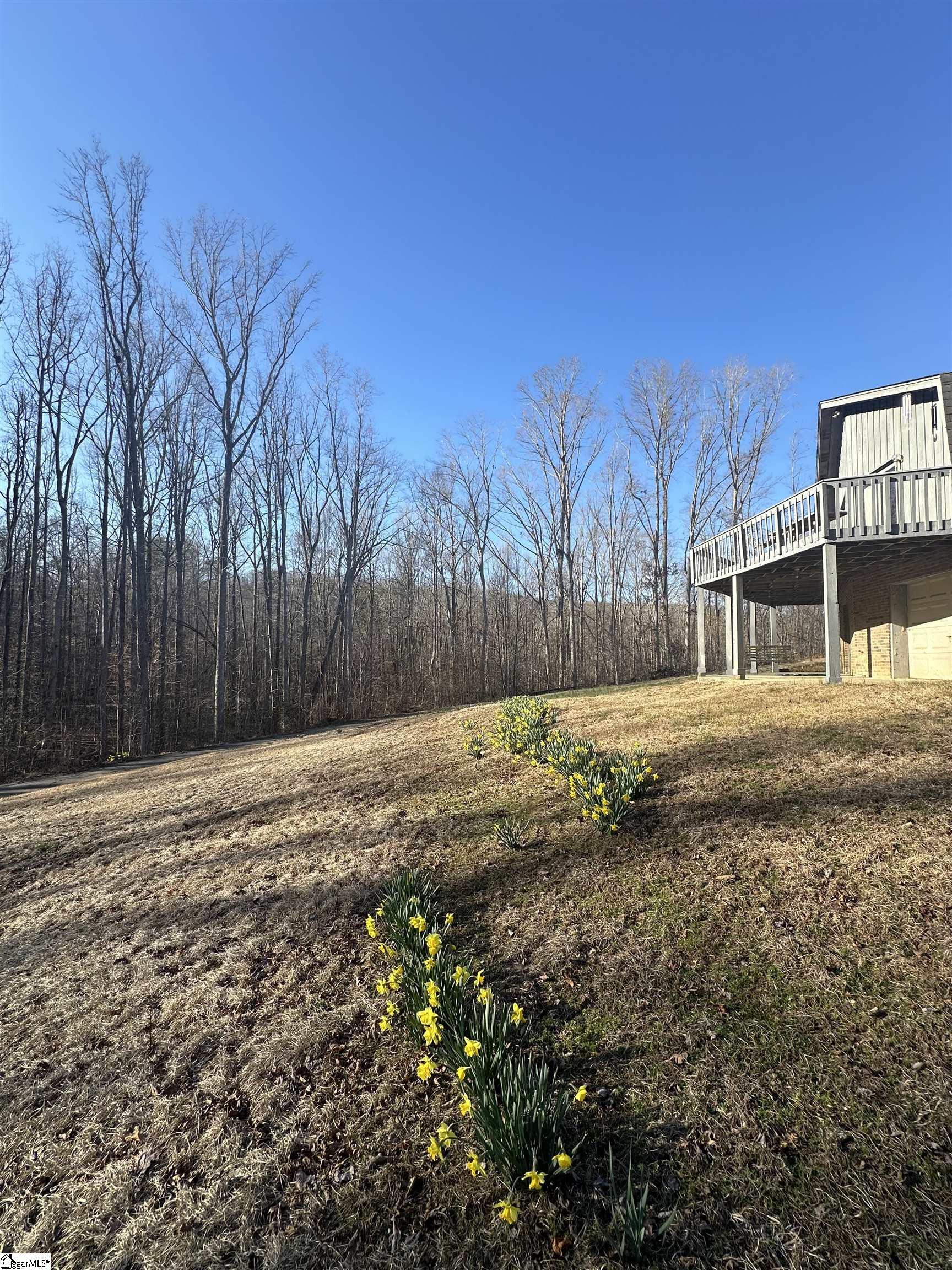 177 Chinquapin Road Easley, SC 29640 - Photo 3 of 41