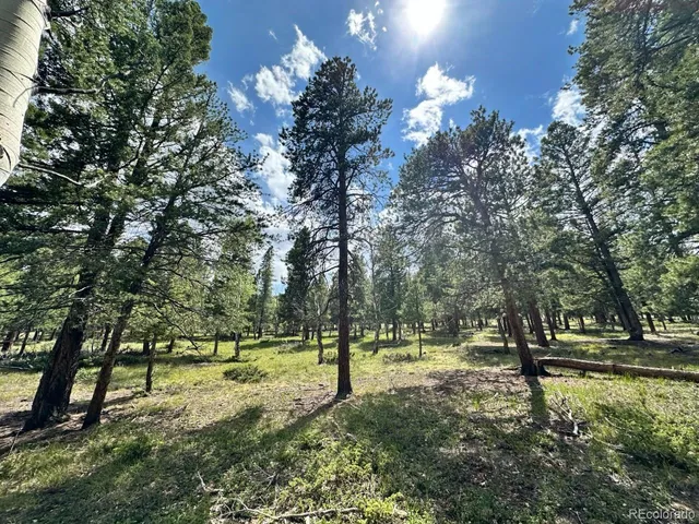 a view of yard from a tree