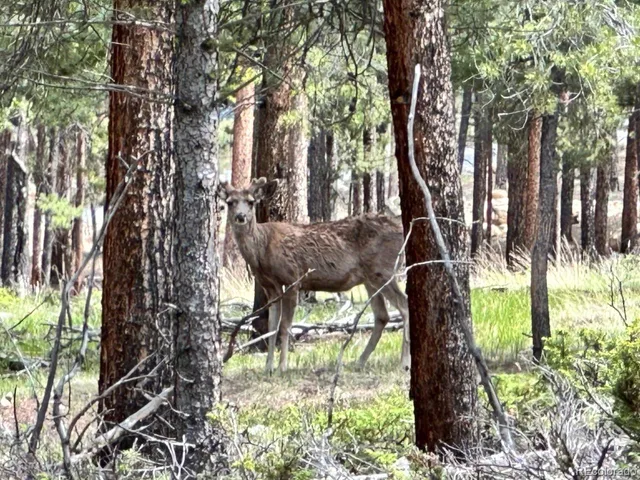a view of street with trees