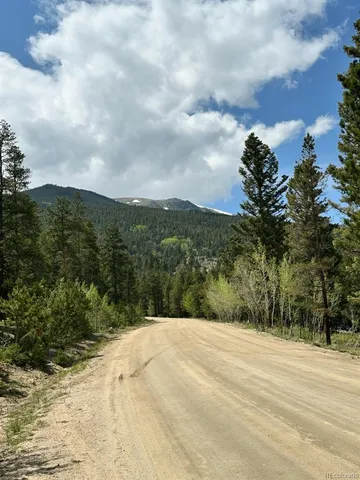 $215,000 | 30385 National Forest Drive, Buena Vista, CO 81211