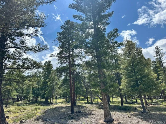 a view of park space