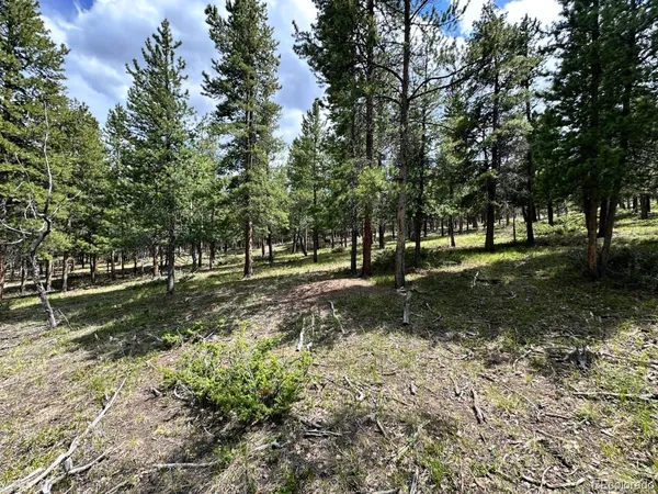 a view of outdoor space with trees