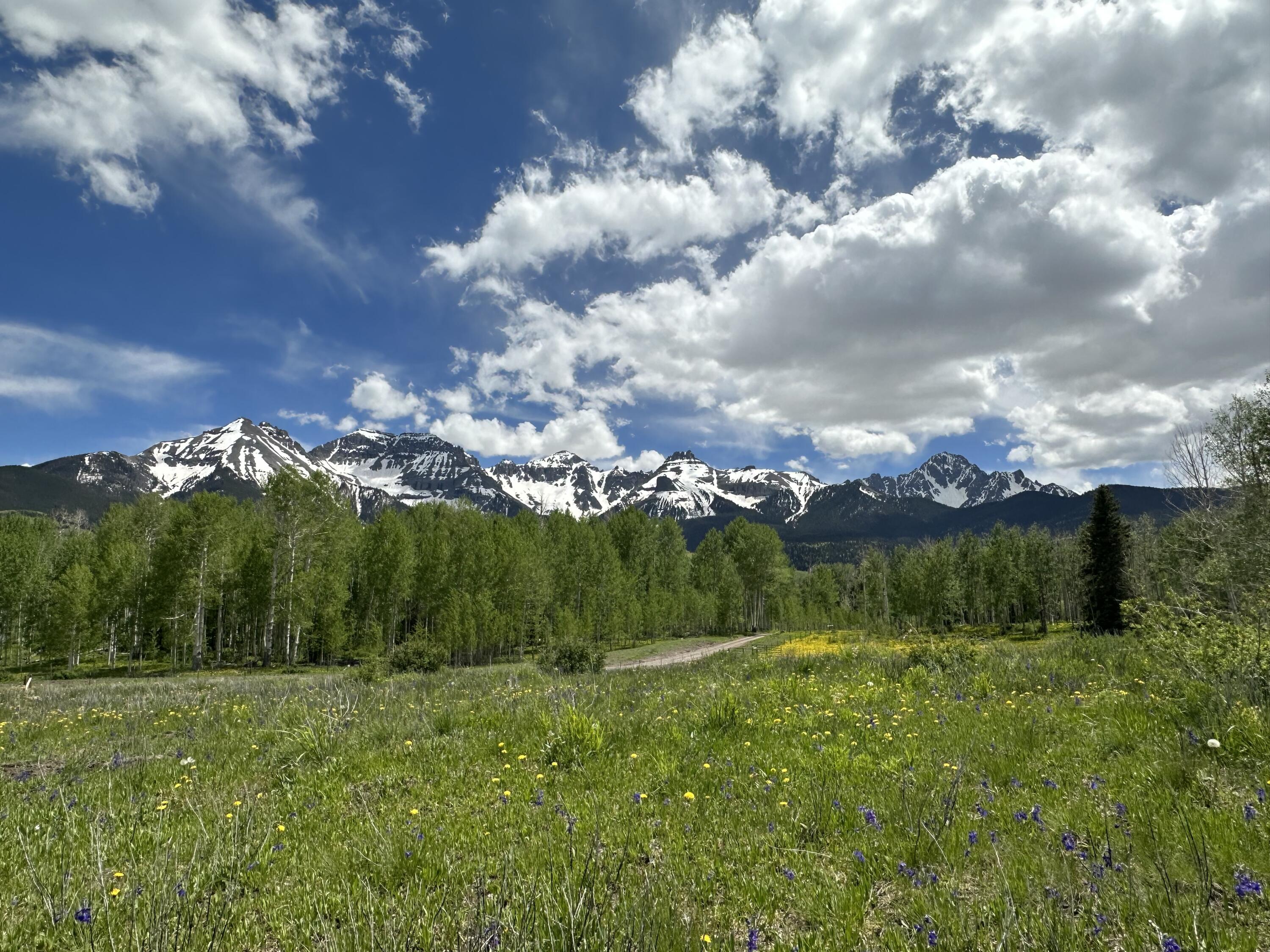 5 County Road 5 Ridgway, CO 81432 - Photo 6 of 19 IMG-7764