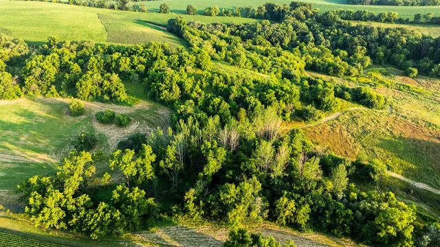 $3,150,000 | 8991 McKenzie Lane, Hollandale, WI 53544