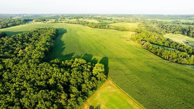 $3,150,000 | 8991 McKenzie Lane, Hollandale, WI 53544