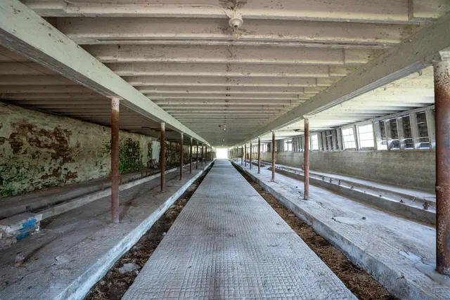 $3,150,000 | 8991 McKenzie Lane, Hollandale, WI 53544