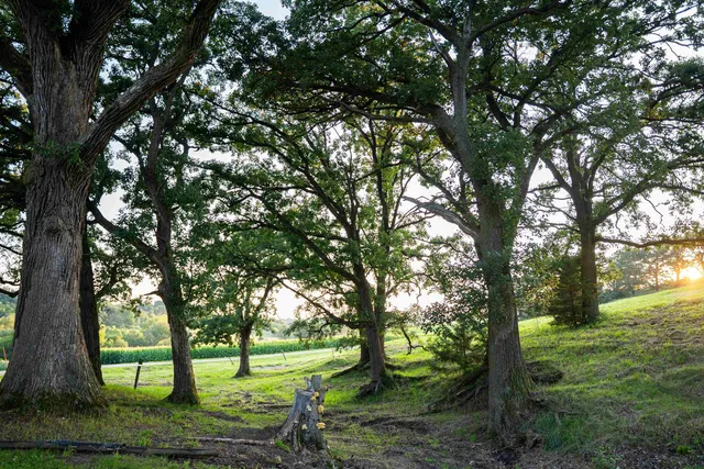 $3,150,000 | 8991 McKenzie Lane, Hollandale, WI 53544