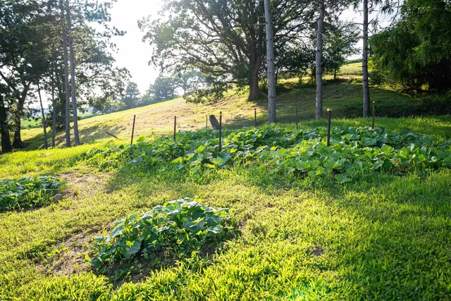 $3,150,000 | 8991 McKenzie Lane, Hollandale, WI 53544