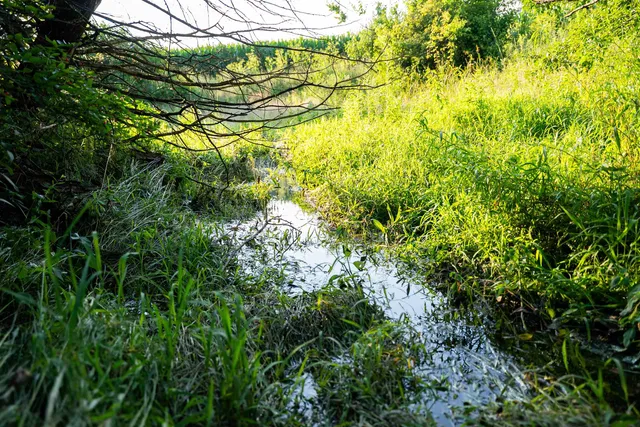 $3,150,000 | 8991 McKenzie Lane, Hollandale, WI 53544