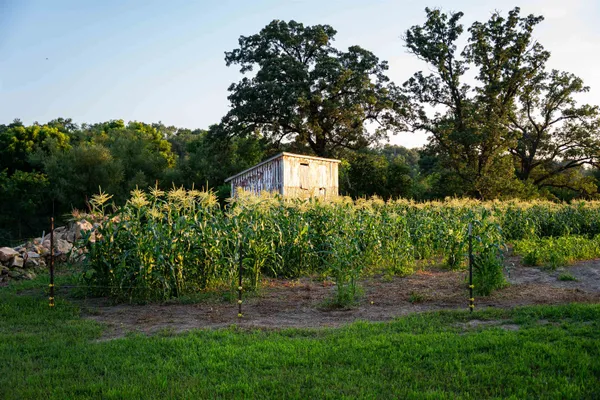 $2,635,110 | 8991 McKenzie Lane, Hollandale, WI 53544