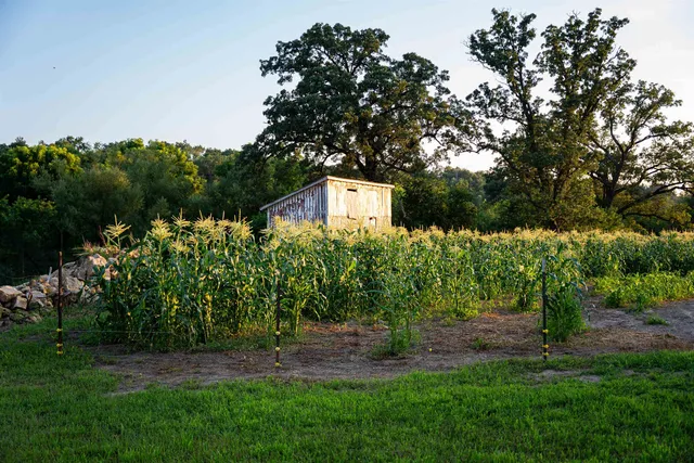 $3,150,000 | 8991 McKenzie Lane, Hollandale, WI 53544