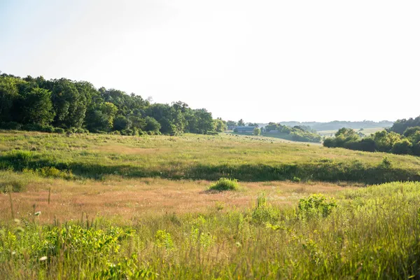 $2,635,110 | 8991 McKenzie Lane, Hollandale, WI 53544