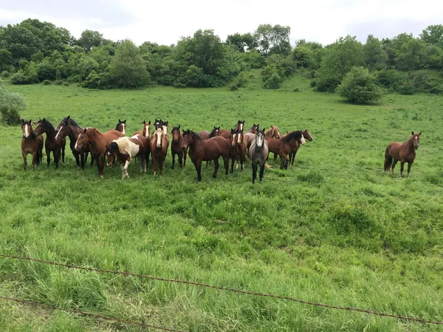 $3,150,000 | 8991 McKenzie Lane, Hollandale, WI 53544