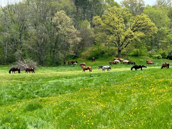 $2,635,110 | 8991 McKenzie Lane, Hollandale, WI 53544