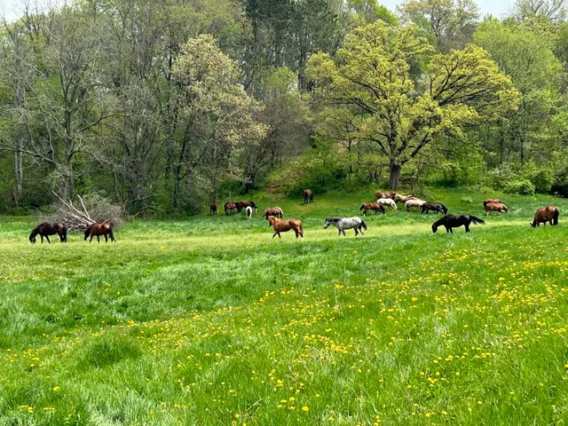 $3,150,000 | 8991 McKenzie Lane, Hollandale, WI 53544