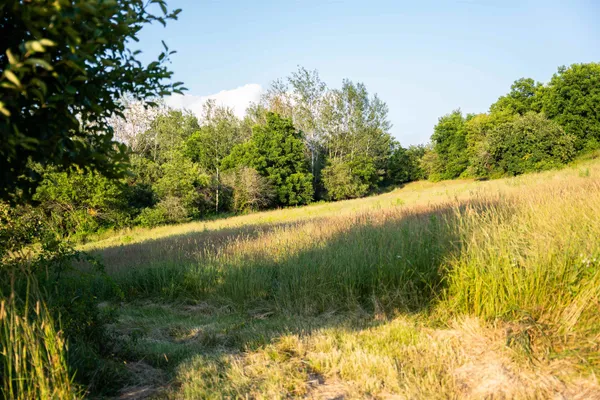$2,635,110 | 8991 McKenzie Lane, Hollandale, WI 53544
