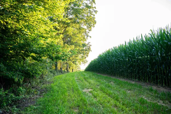 $2,635,110 | 8991 McKenzie Lane, Hollandale, WI 53544