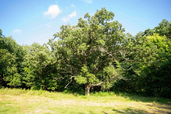 $2,635,110 | 8991 McKenzie Lane, Hollandale, WI 53544