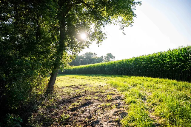 $3,150,000 | 8991 McKenzie Lane, Hollandale, WI 53544