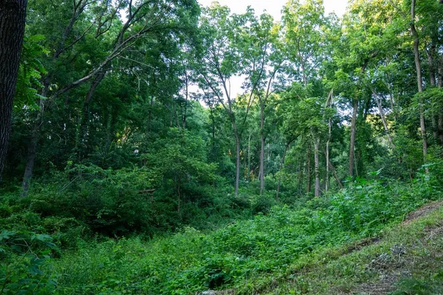 $3,150,000 | 8991 McKenzie Lane, Hollandale, WI 53544