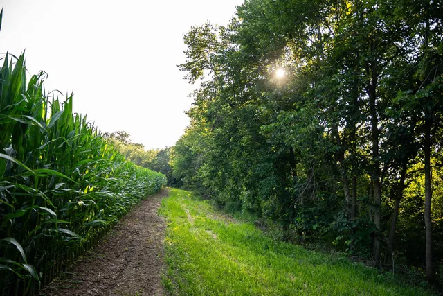 $3,150,000 | 8991 McKenzie Lane, Hollandale, WI 53544