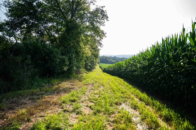 $3,150,000 | 8991 McKenzie Lane, Hollandale, WI 53544