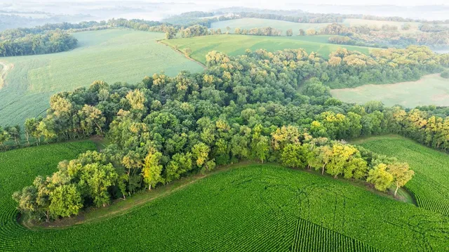 $3,150,000 | 8991 McKenzie Lane, Hollandale, WI 53544