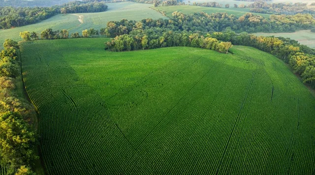 $3,150,000 | 8991 McKenzie Lane, Hollandale, WI 53544