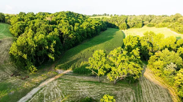 $2,635,110 | 8991 McKenzie Lane, Hollandale, WI 53544