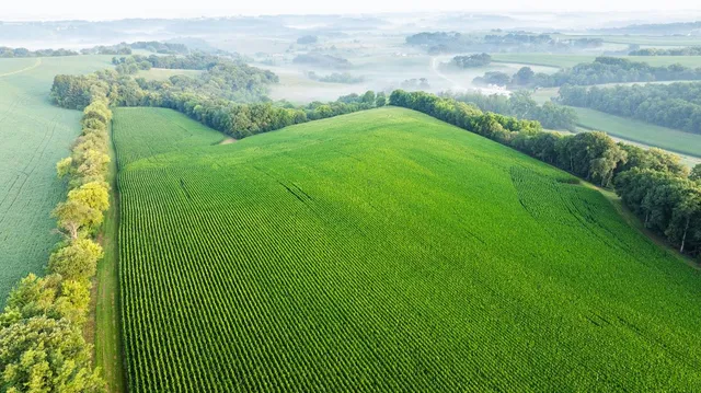 $3,150,000 | 8991 McKenzie Lane, Hollandale, WI 53544