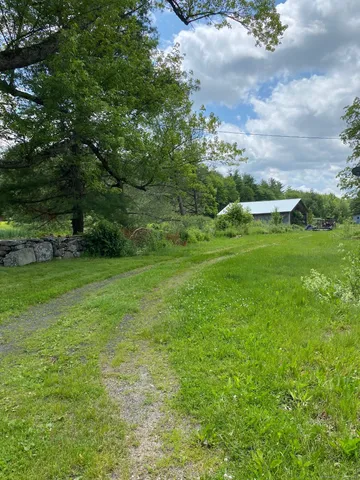 a view of grassy field with trees