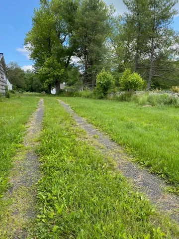a view of a garden with a tree