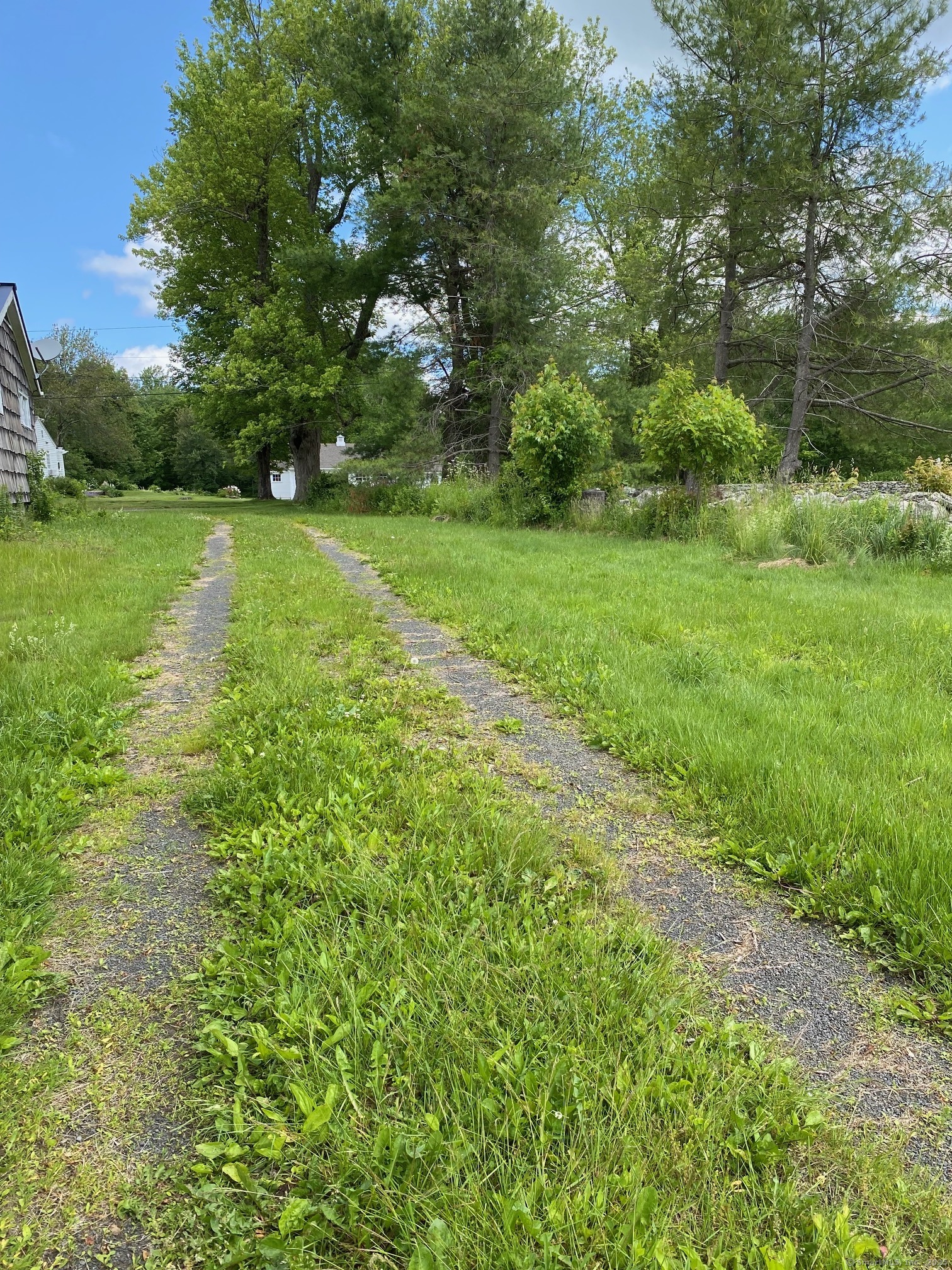 0 Chapel Road Winsted, CT 06098 - Photo 3 of 4 a view of a garden with a tree