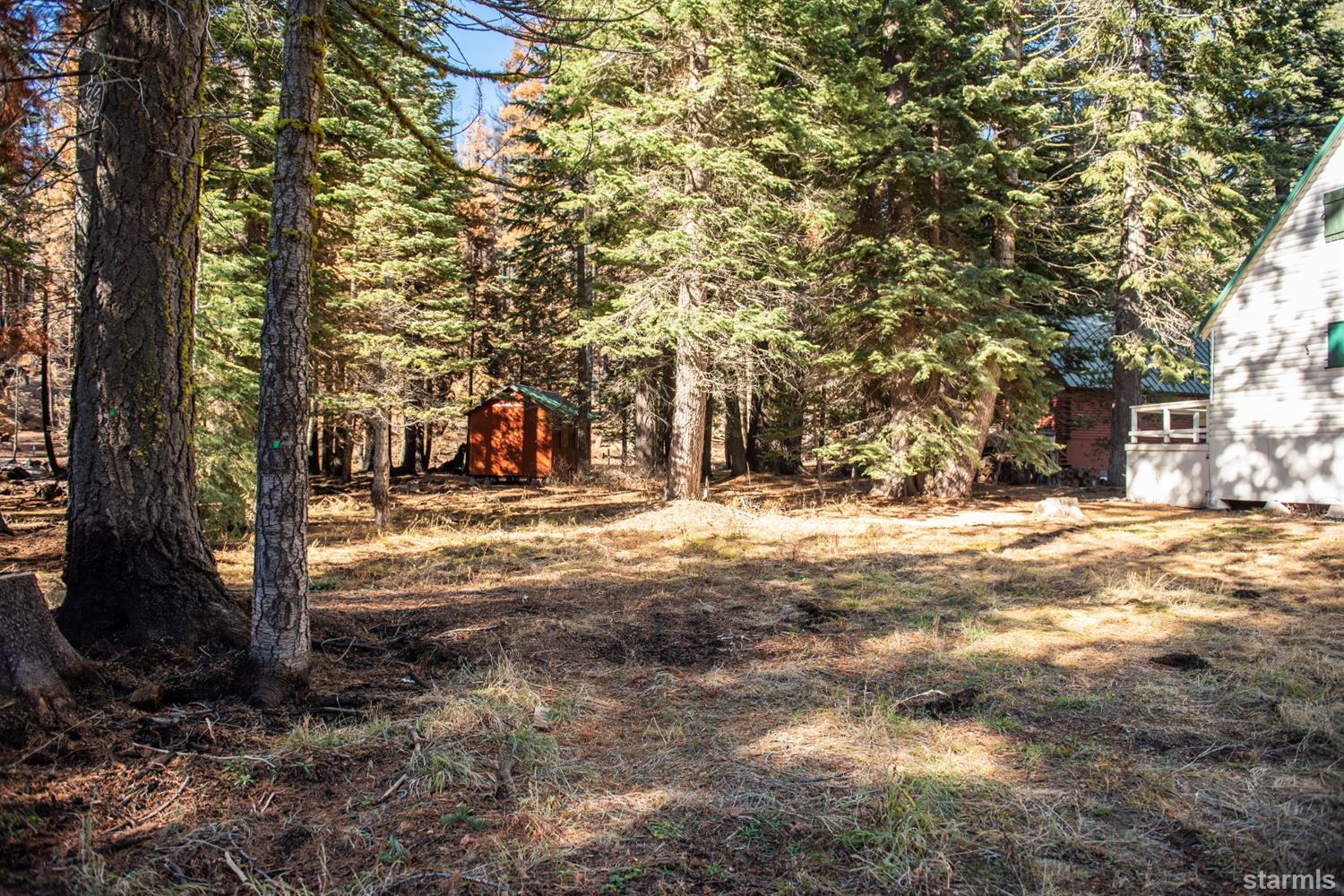 7063 Mount Ralston Road Twin Bridges, CA 95735 - Photo 3 of 12 Gallery Image 3