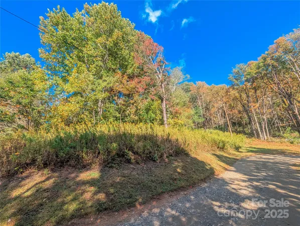 a view of a yard with a house