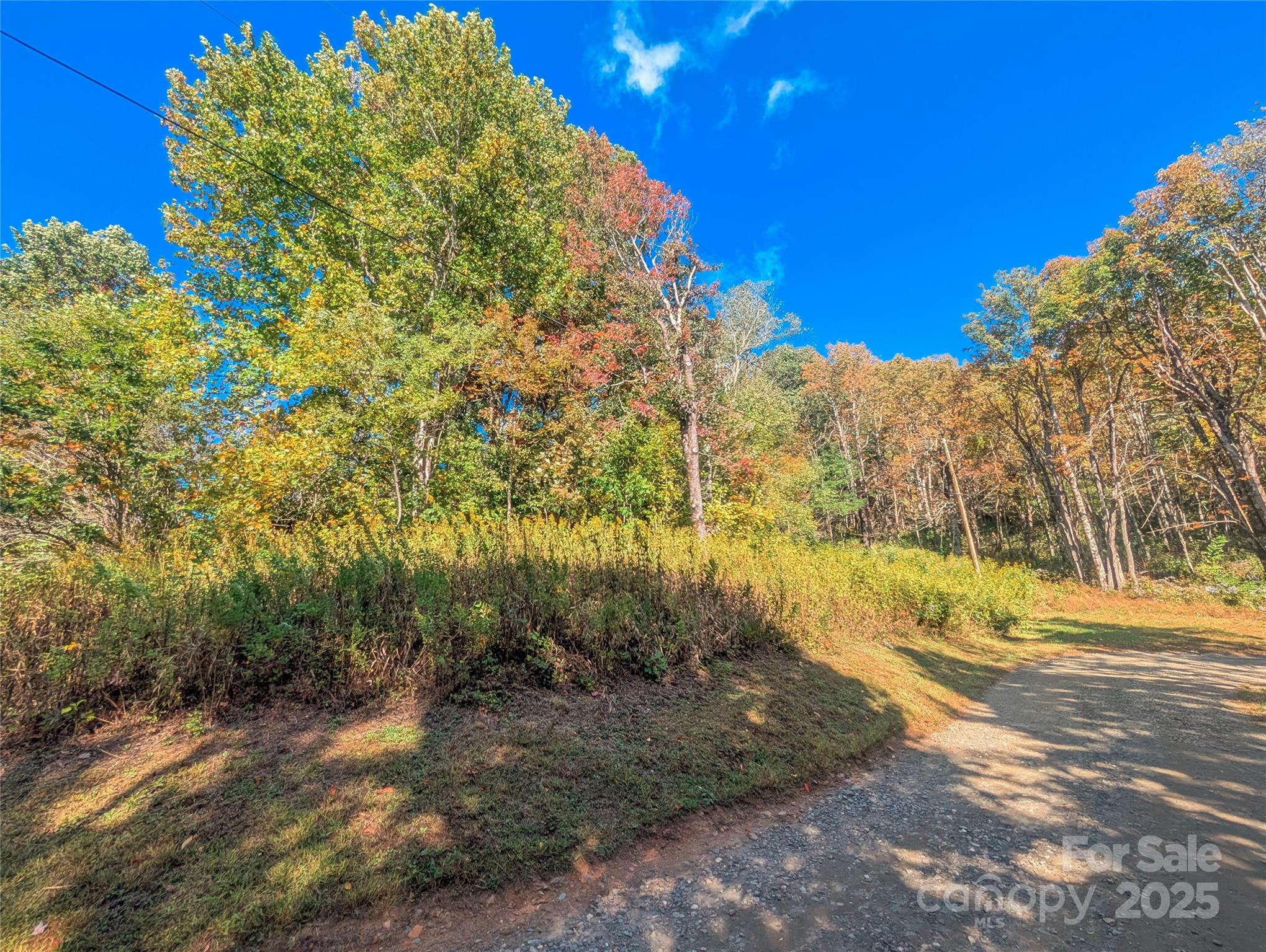 a view of a yard with a house