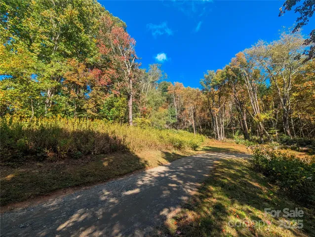 a view of a yard with trees