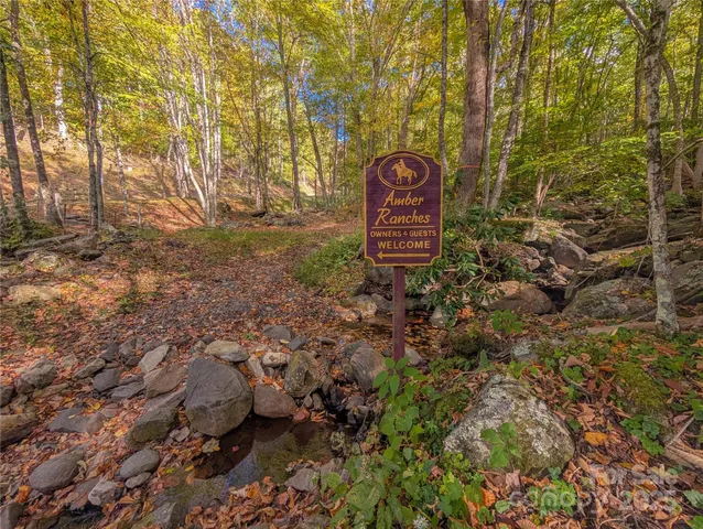 a row of trees and bushes