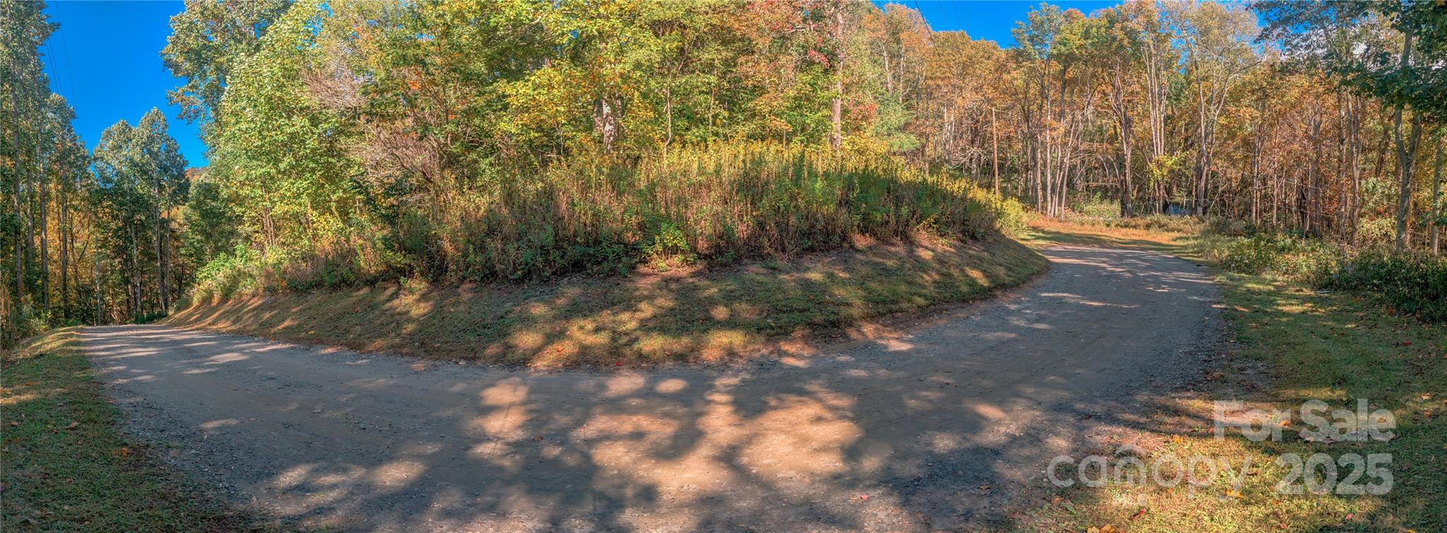 0 Nicholas Knoll Road, Unit 41 Bakersville, NC 28705 - Photo 2 of 14 a view of a forest