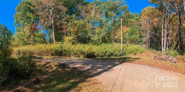 a view of a backyard of a house