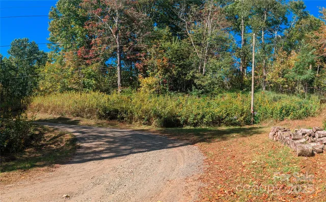a view of a street with a trees