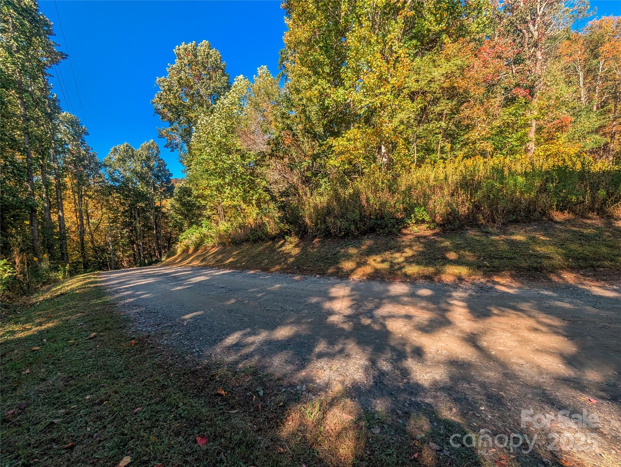0 Nicholas Knoll Road, Unit 41 Bakersville, NC 28705 - Photo 5 of 14 a view of a tree in a yard