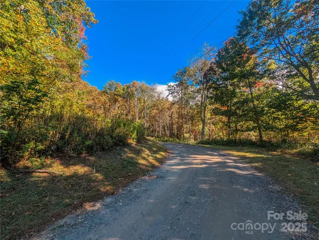 a view of a yard with an trees
