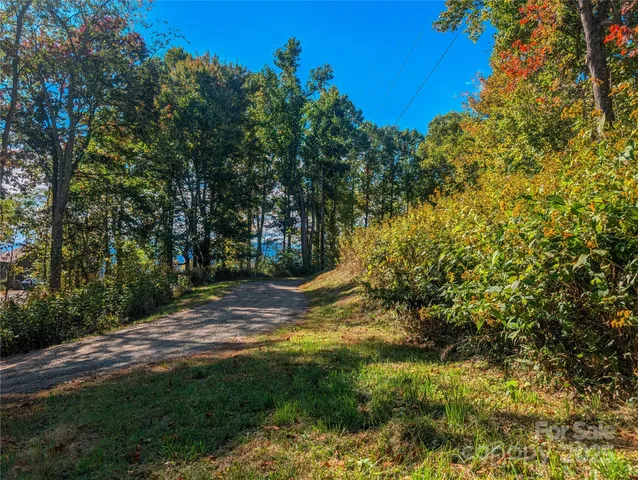a view of a yard with plants and trees