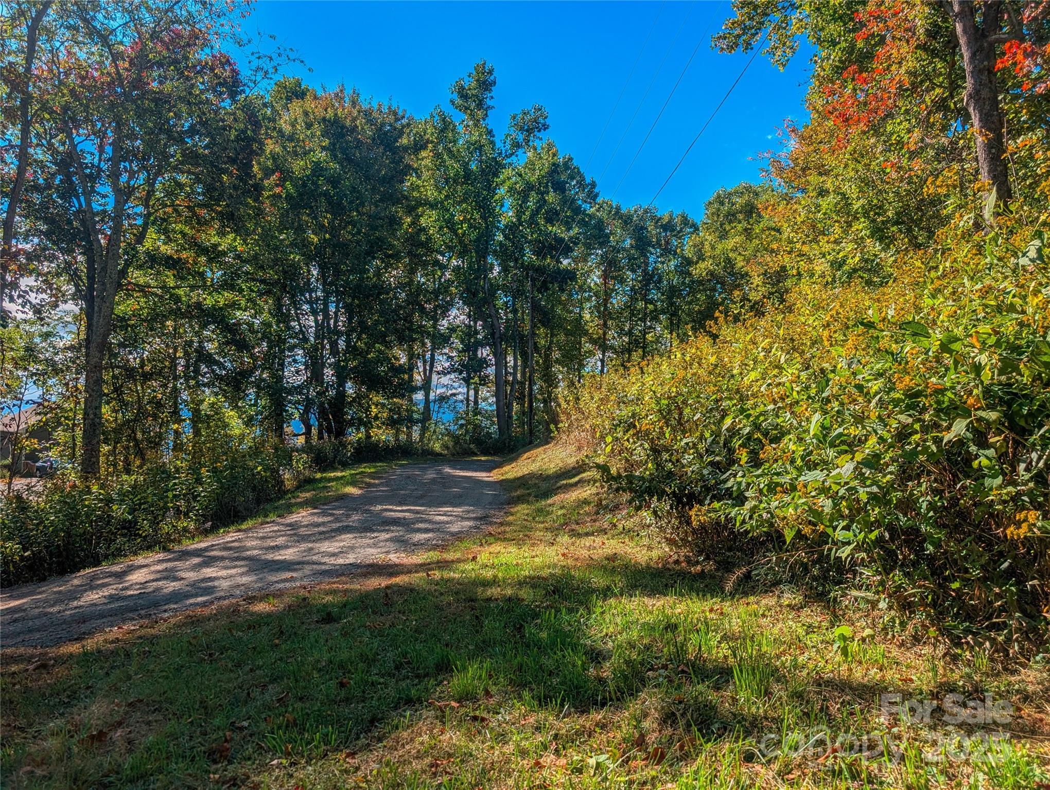 0 Nicholas Knoll Road, Unit 41 Bakersville, NC 28705 - Photo 8 of 14 a view of a yard with plants and trees