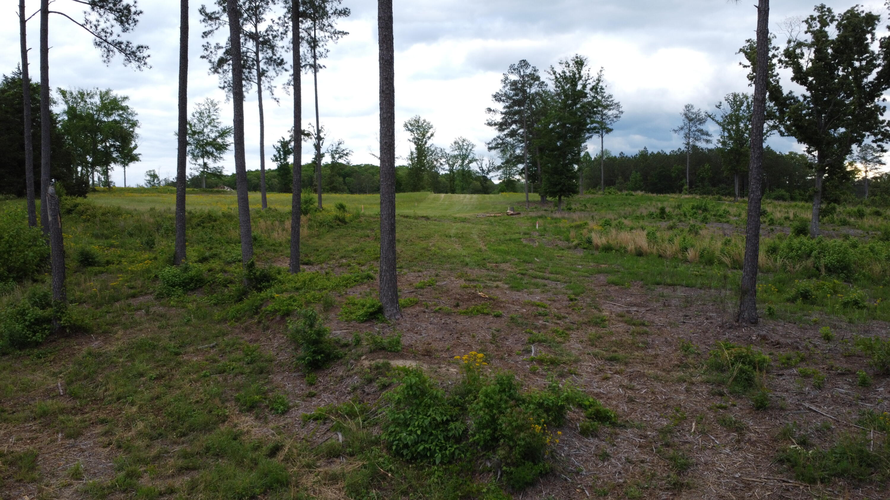 0 Highway 2 Dalton, GA 30721 - Photo 12 of 57 11