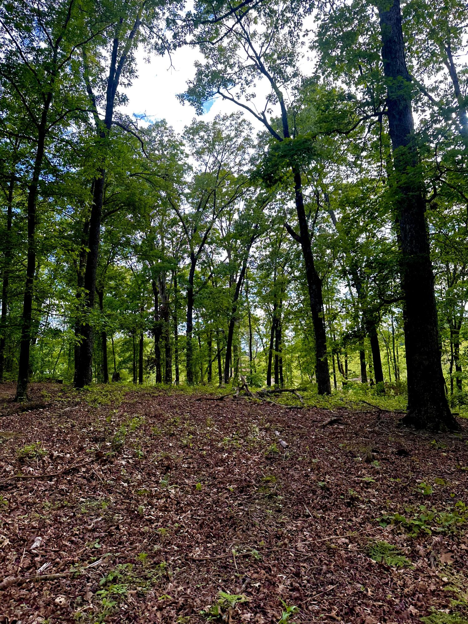 0 Highway 2 Dalton, GA 30721 - Photo 16 of 57 15