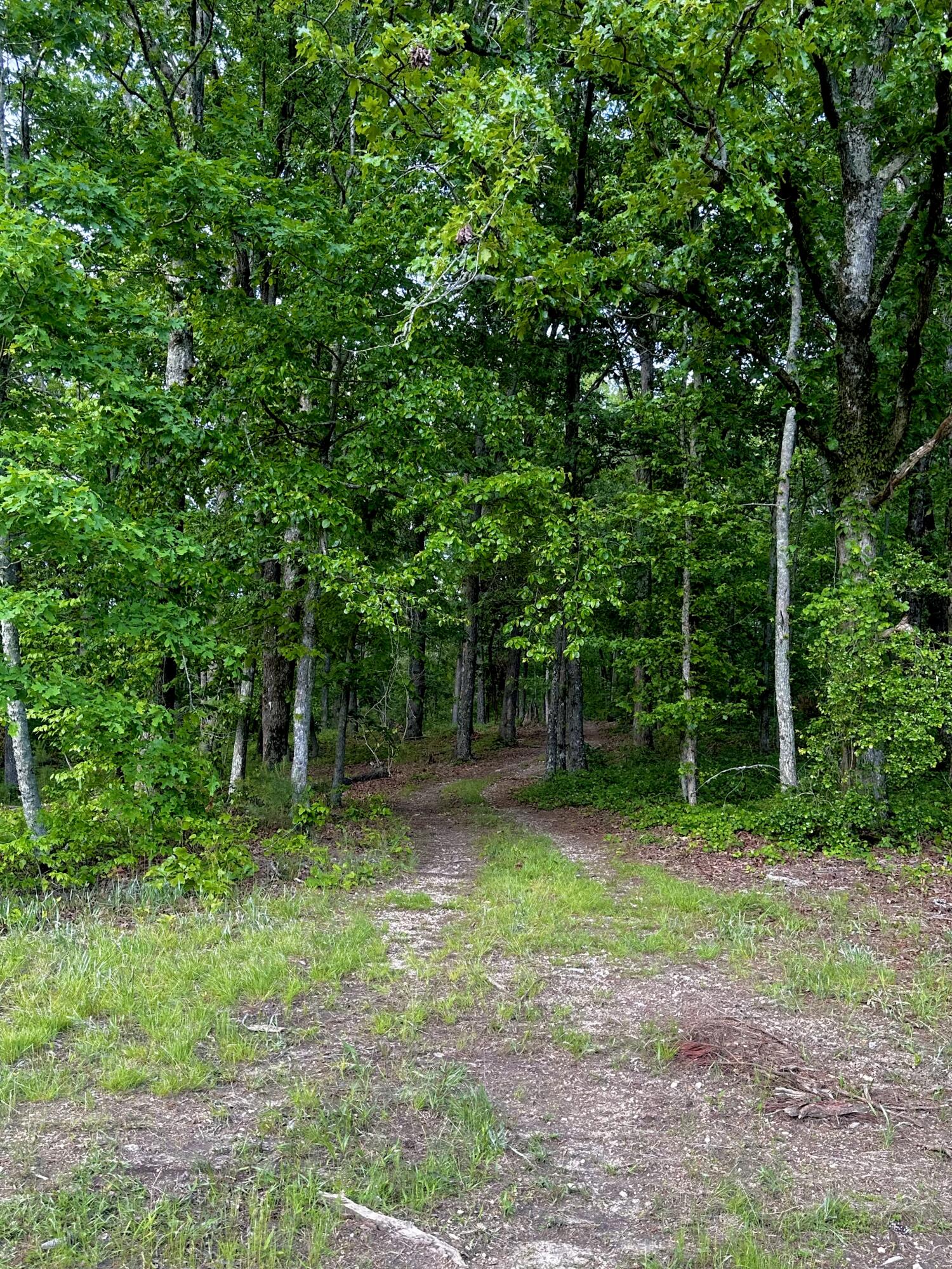 0 Highway 2 Dalton, GA 30721 - Photo 20 of 57 19